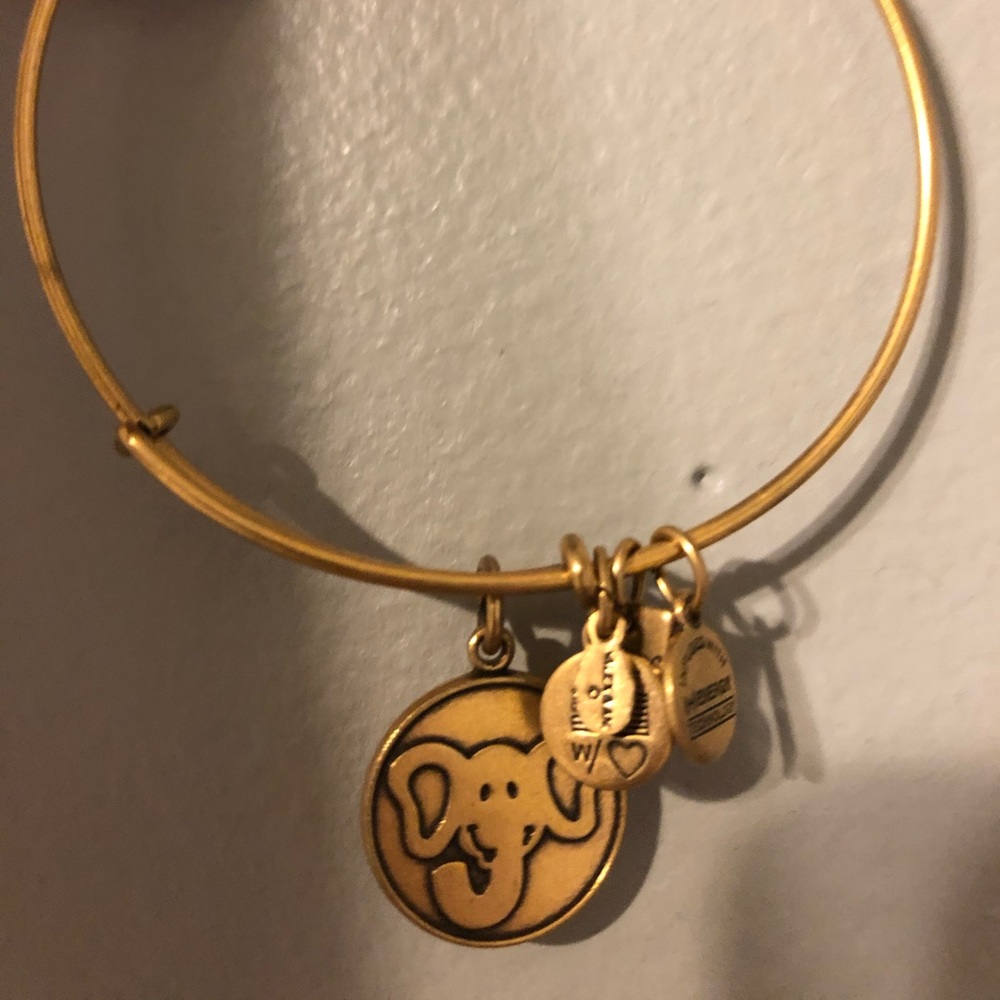 Elephant Alex and Ani Bracelet